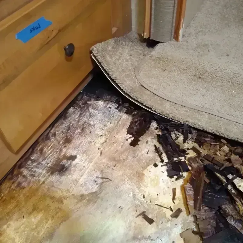 Wood Floor Water Damage in Burton, SC